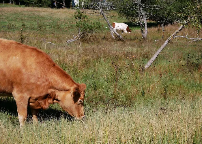 Traumresidenz - App 834 Apartment